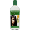 Montana Shampoo - Image 2