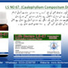 LS No-67 (Caulophylium Compositum Drops) - Image 3