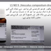 LS No-9 (Aesculus Compositum Drops) - Image 3