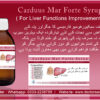 Carduus Mar Forte Syrup - Image 3